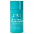 Esthetic House CP-1 Matte Finish Styling Powder 6g