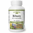 Natural Factors Bilberry 40 mg 90pcs