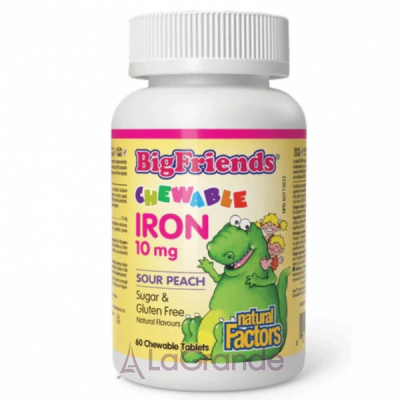 Natural Factors BigFriends Chewable Iron 10 mg ĳ������ ������� 