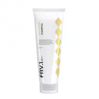 FAV.1 Daily Shine Shampoo ������� ��� ��������� ������������